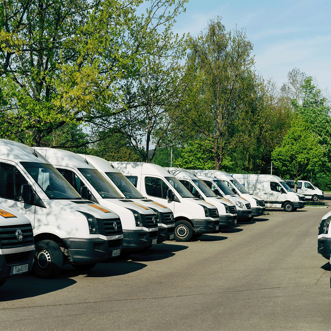 tourism vans
